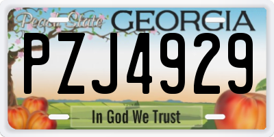 GA license plate PZJ4929