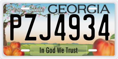 GA license plate PZJ4934