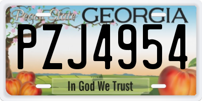 GA license plate PZJ4954