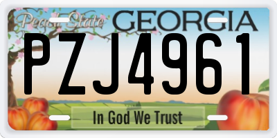 GA license plate PZJ4961