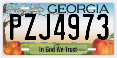 GA license plate PZJ4973