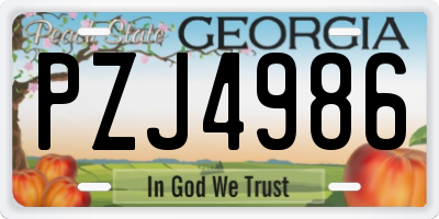 GA license plate PZJ4986