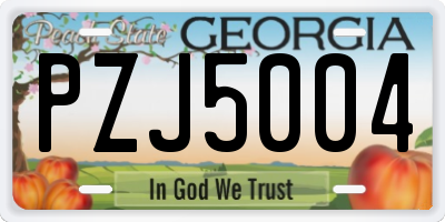 GA license plate PZJ5004
