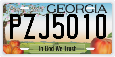 GA license plate PZJ5010