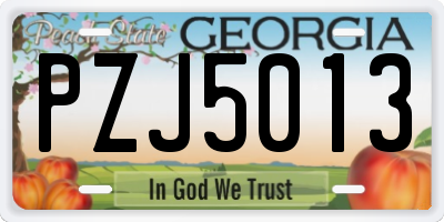 GA license plate PZJ5013