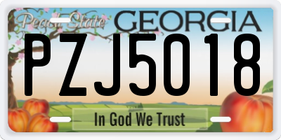 GA license plate PZJ5018
