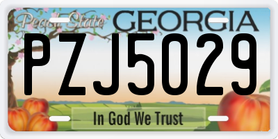 GA license plate PZJ5029