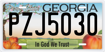 GA license plate PZJ5030