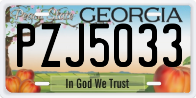 GA license plate PZJ5033
