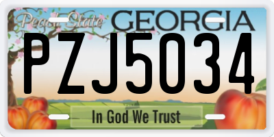 GA license plate PZJ5034