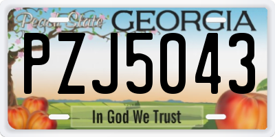 GA license plate PZJ5043