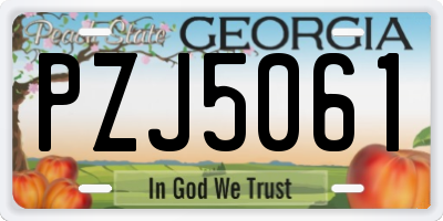 GA license plate PZJ5061