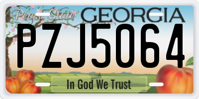 GA license plate PZJ5064
