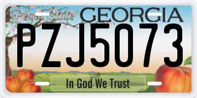 GA license plate PZJ5073