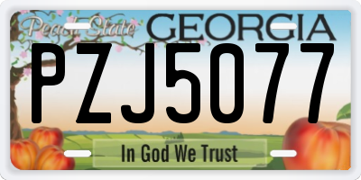 GA license plate PZJ5077