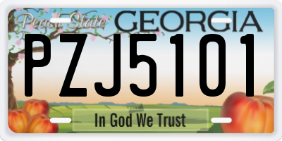 GA license plate PZJ5101