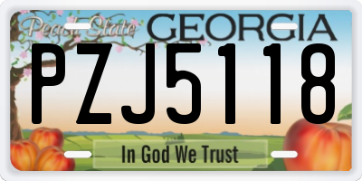 GA license plate PZJ5118