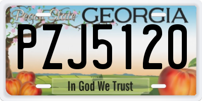 GA license plate PZJ5120