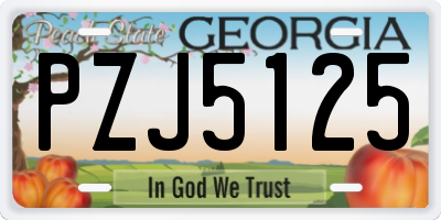 GA license plate PZJ5125