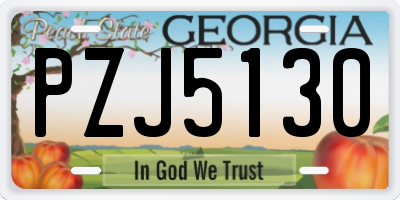 GA license plate PZJ5130