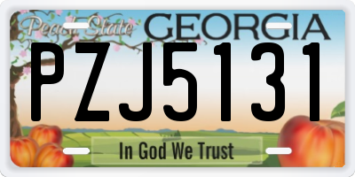 GA license plate PZJ5131