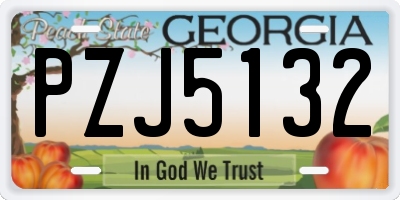 GA license plate PZJ5132