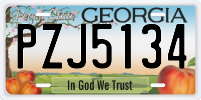 GA license plate PZJ5134