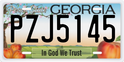 GA license plate PZJ5145