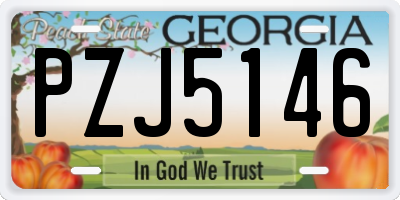 GA license plate PZJ5146