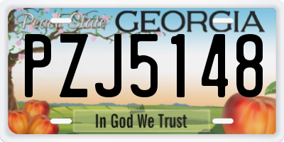 GA license plate PZJ5148