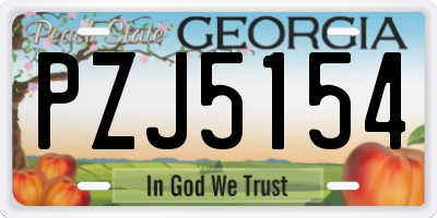 GA license plate PZJ5154