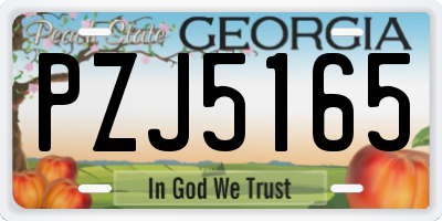 GA license plate PZJ5165