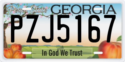 GA license plate PZJ5167