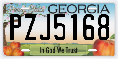 GA license plate PZJ5168