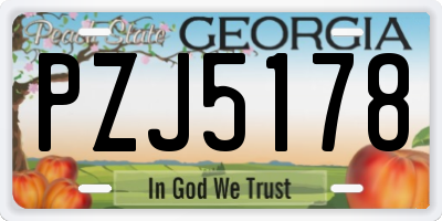 GA license plate PZJ5178