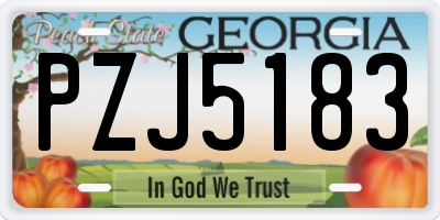 GA license plate PZJ5183