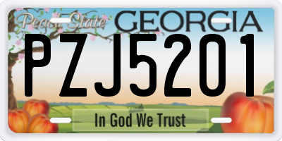 GA license plate PZJ5201