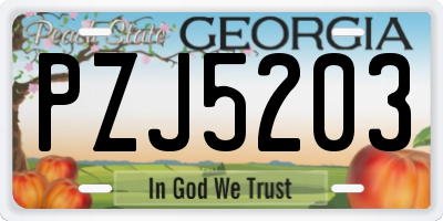GA license plate PZJ5203
