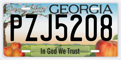 GA license plate PZJ5208