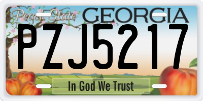GA license plate PZJ5217