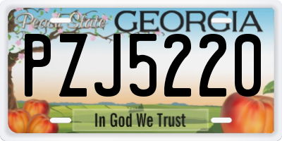 GA license plate PZJ5220
