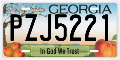 GA license plate PZJ5221