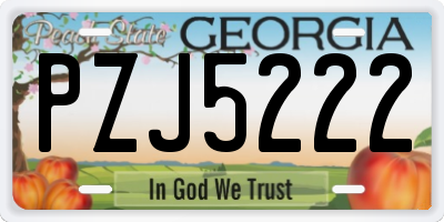 GA license plate PZJ5222