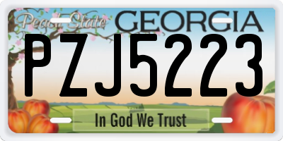 GA license plate PZJ5223