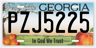 GA license plate PZJ5225