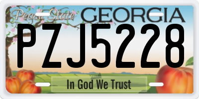GA license plate PZJ5228