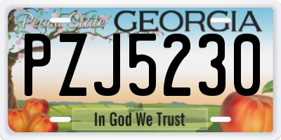GA license plate PZJ5230