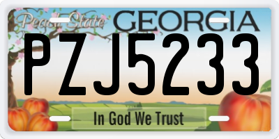GA license plate PZJ5233