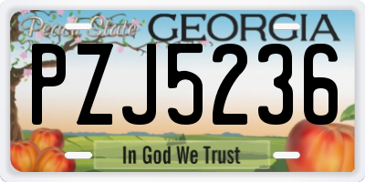 GA license plate PZJ5236