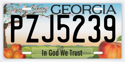 GA license plate PZJ5239